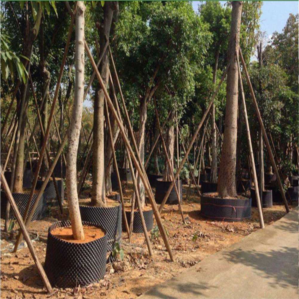 Grow Container Garden Tree Bon – Outdoor Furniture In Bewertung und Preis